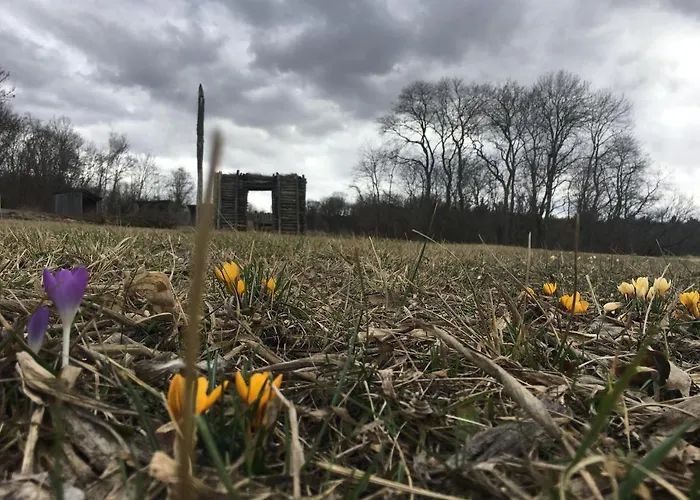 Halterhauspuch Vakantiehuis *